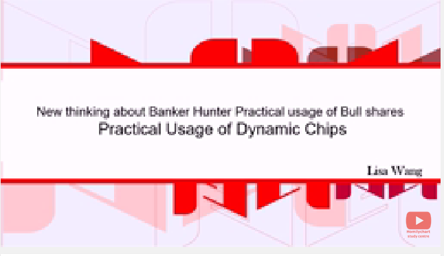 Practical Usage of Dynamic Chips