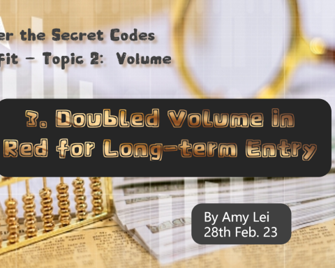 28FEB AMY LEI - Doubled Volume in Red  for Long-term Buy